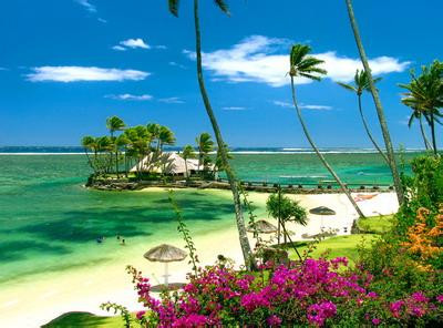 斐济岛 主岛喜来登海风房自由行
